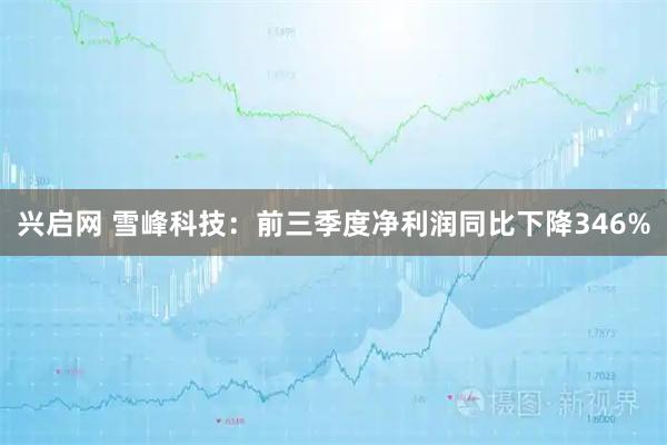 兴启网 雪峰科技:前三季度净利润同比下降346%