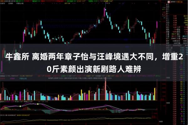 牛鑫所 离婚两年章子怡与汪峰境遇大不同，增重20斤素颜出演新剧路人难辨