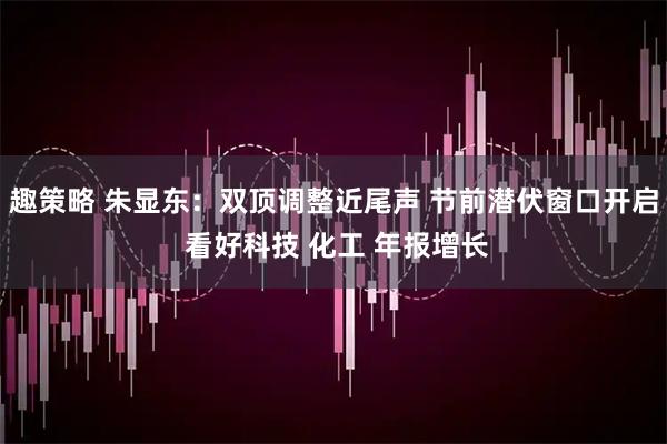 趣策略 朱显东：双顶调整近尾声 节前潜伏窗口开启 看好科技 化工 年报增长