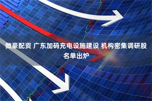 微豪配资 广东加码充电设施建设 机构密集调研股名单出炉